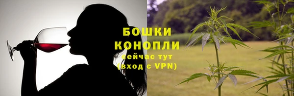 амф Инсар