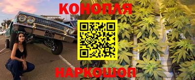 Альфа ПВП Кунгур