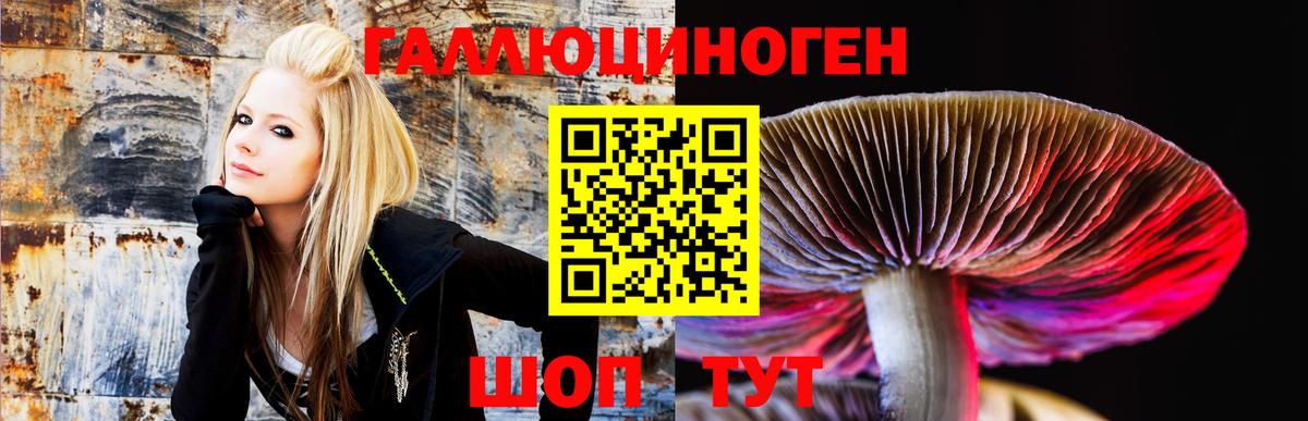 Псилоцибиновые грибы GOLDEN TEACHER Ишимбай